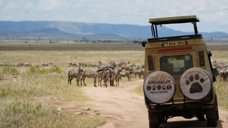 Tanzania Safari Tipping Guide