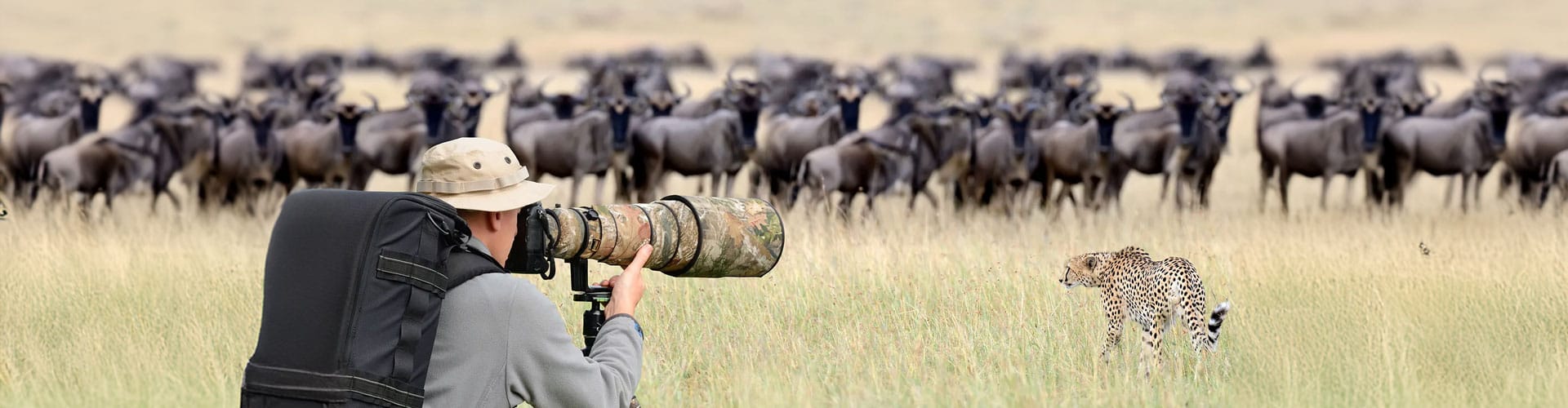 Photographic Safari Experiences in Tanzania
