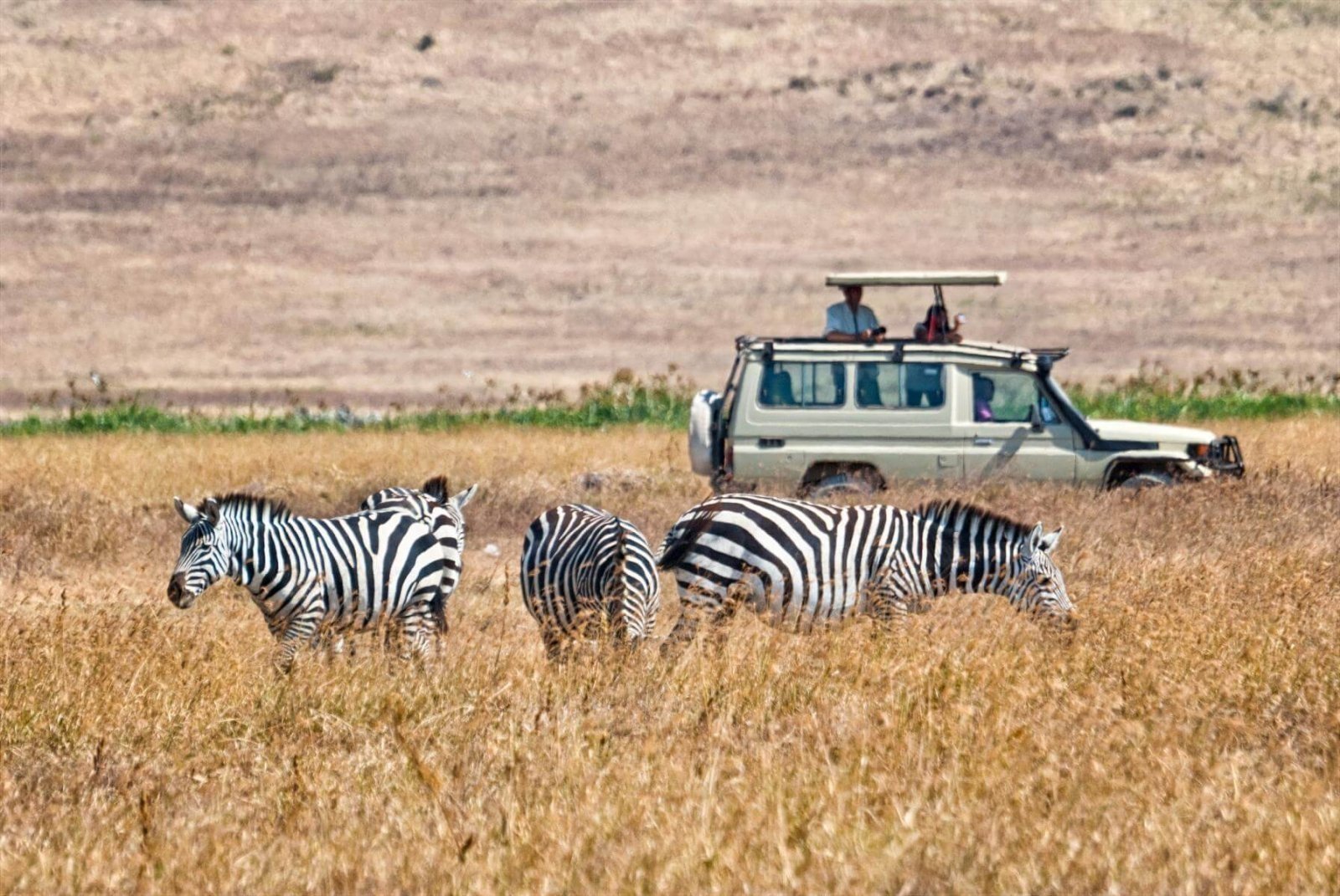 Photographic Safari Experiences in Tanzania