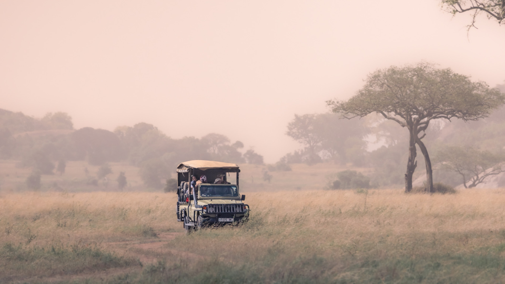 How to Book the Perfect Tanzania Safari Holiday
