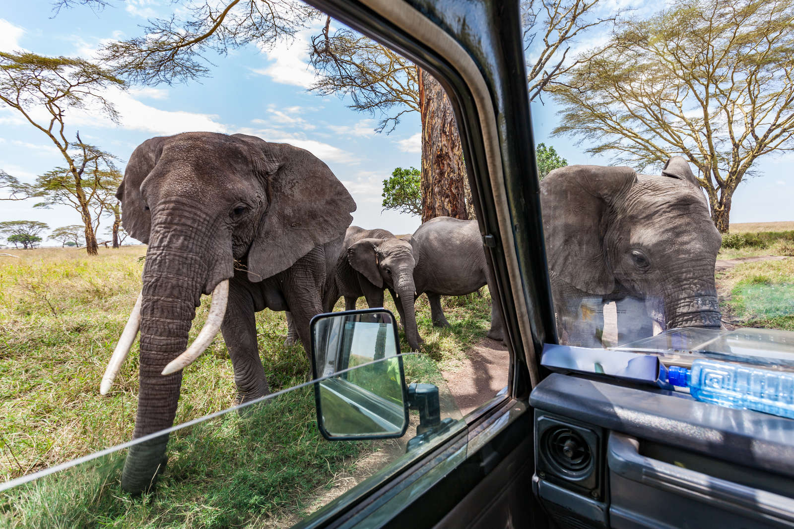 Photographic Safari Experiences in Tanzania