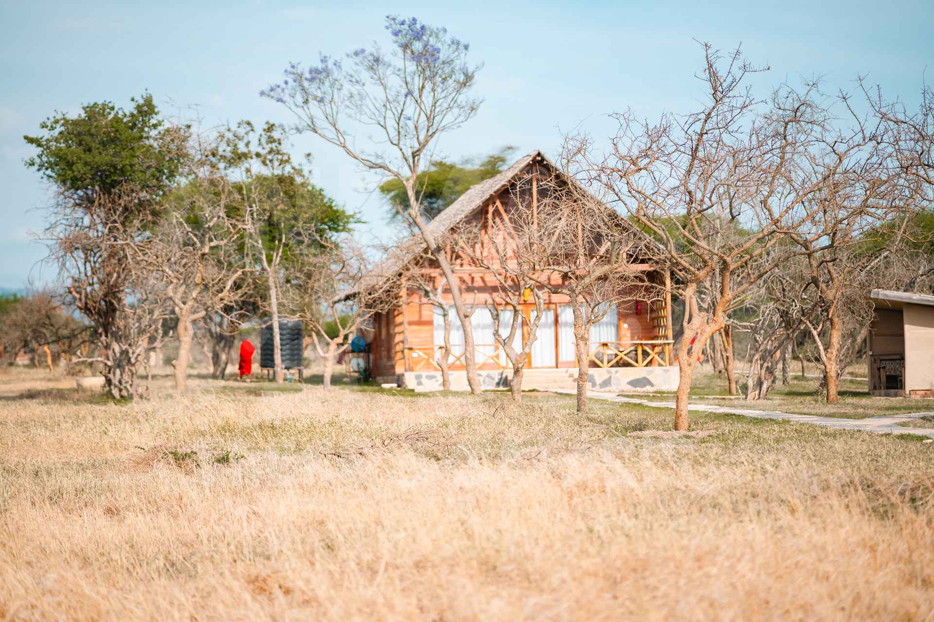 Serval Wildlife Experience