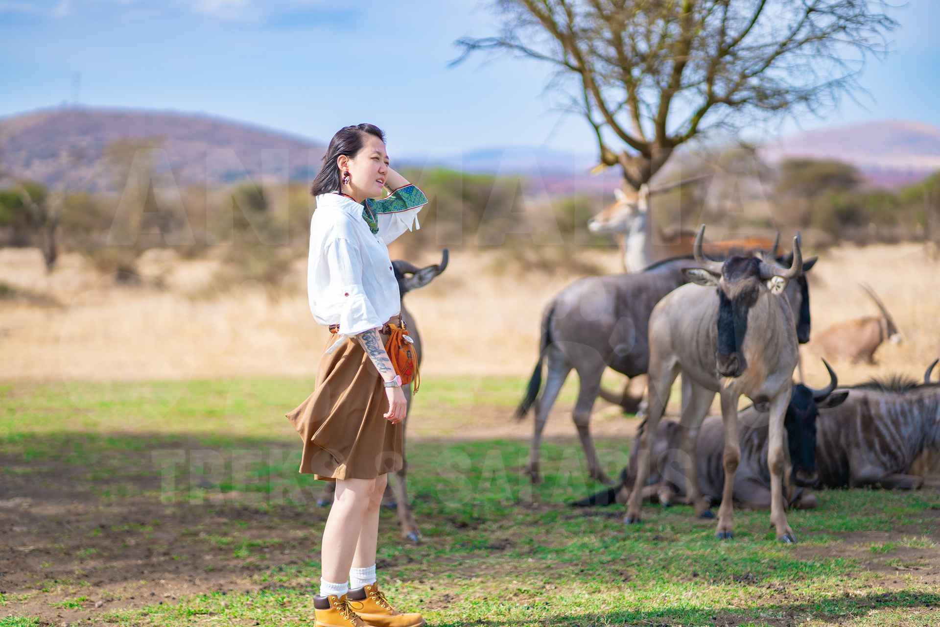 Serval Wildlife Experience