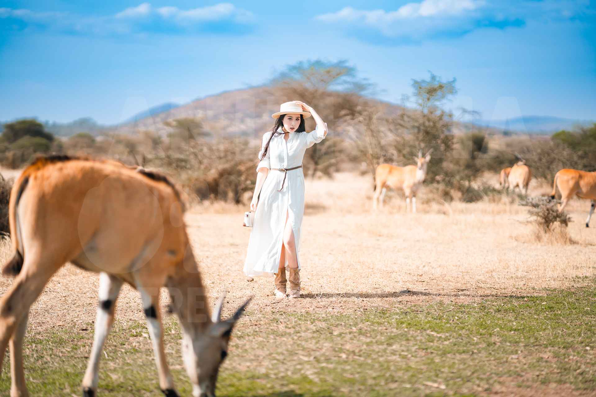 Serval Wildlife Experience