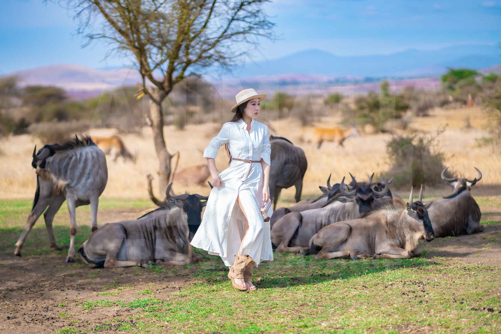Serval Wildlife Experience