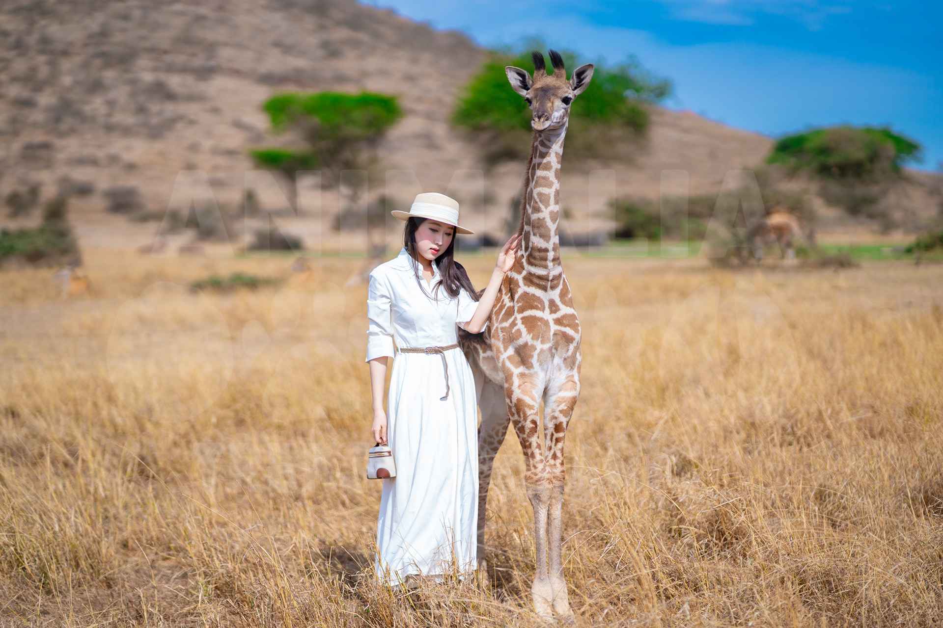 Serval Wildlife Experience