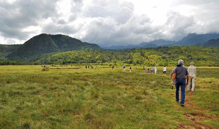 Tanzania Walking Safari Experiences